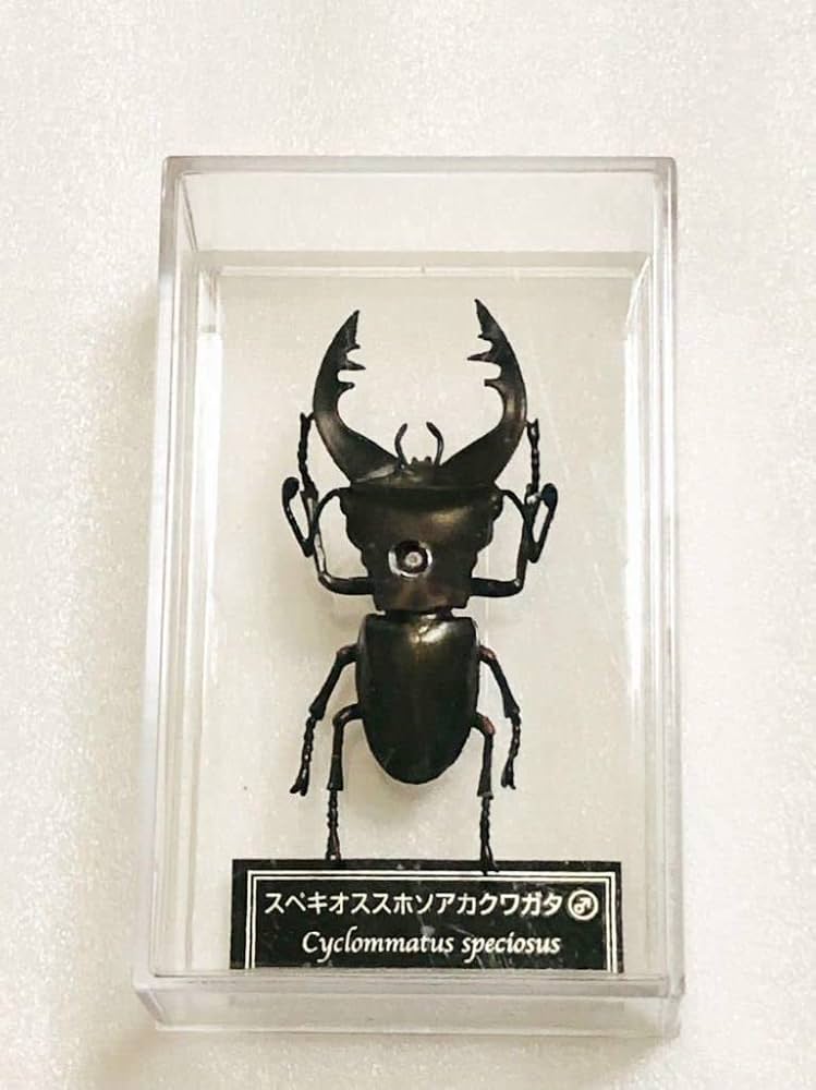 ディアゴスティーニ　世界の昆虫　フィギュア49点まとめ売り Amazon.co.jp: ディアゴスティーニ 世界の昆虫 フィギュア 29